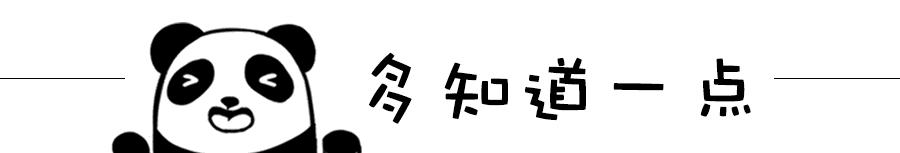 京牌租赁