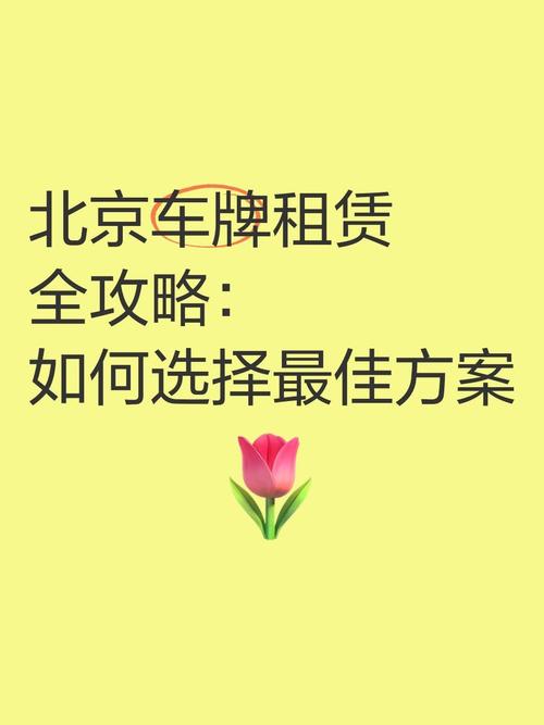 北京租车牌公司中介